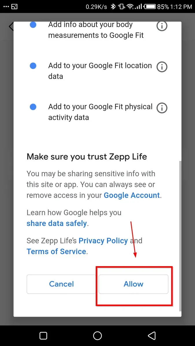 Step 9: Allow Zepp Life To Access Your Google Account